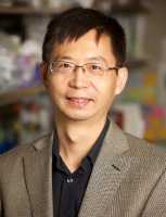 Kun Zhang, PhD Professor UCSD Department of Bioengineering La Jolla, CA 92093-0412