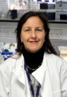 Dr Stéphanie Kermorgant PhD Barts Cancer Institute Queen Mary University of London