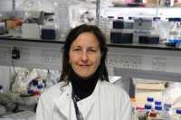 Dr Stéphanie Kermorgant PhD