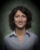 Professor Sherry Towfighian PhD Mechanical Engineering Binghamton University  