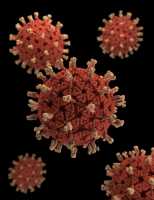 3D graphical representation of a number of Rotavirus virions: CDC image