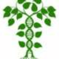 medicalresearch.com