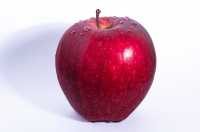 apple-flavenoids