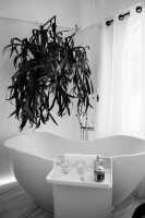bath-bathtub