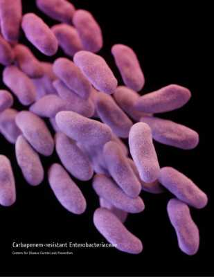 CRE bacteria - CDC image