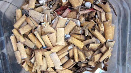 “Used Cigarette Butts” by Indi Samarajiva is licensed under CC BY 2.0