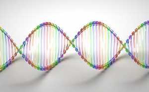 “DNA” by Caroline Davis2010 is licensed under CC BY 2.0