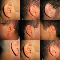 "All Ears..." by banlon1964 is licensed under CC BY-NC-ND 2.0