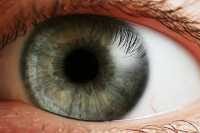 "The second-most famous green eyes in the world" by Gorgeous Eyes is licensed under CC BY 2.0