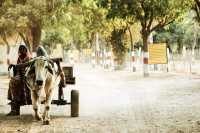india-caste-system