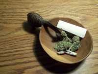 "marijuana apocalypse - weed is a stimulant !" by Blind Nomad is licensed under CC BY 2.0