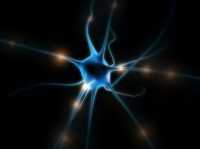 "neuron" by Taylor Maley is licensed under CC BY 2.0