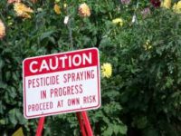 “Pesticide spraying” by jetsandzeppelins is licensed under CC BY 2.0