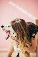 petting cats and dogs reduces cortisol stress levels