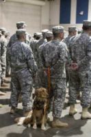 “Man’s best friend helps NC Guardsman with PTSD [Image 1 of 8]” by DVIDSHUB is licensed under CC BY 2.0