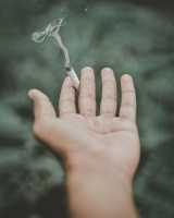 smoking-cigarette-tobacco