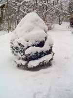 "White Christmas Tree" by Michael 1952 is licensed under CC BY 2.0
