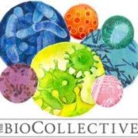 Martha Colin Founder of The BioCollective